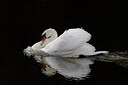 BUITEN BEELD Foto: 438177