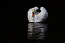 BUITEN BEELD Foto: 438178