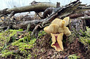 BUITEN BEELD Foto: 438181