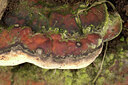 BUITEN BEELD Foto: 438200
