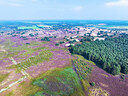 BUITEN BEELD Foto: 438219