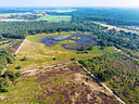 BUITEN BEELD Foto: 438221