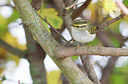 BUITEN BEELD Foto: 438253