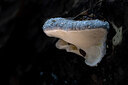 BUITEN BEELD Foto: 438270