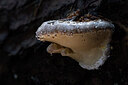 BUITEN BEELD Foto: 438271