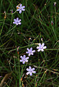 BUITEN BEELD Foto: 438275