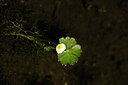 BUITEN BEELD Foto: 438276