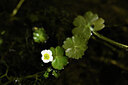 BUITEN BEELD Foto: 438277