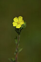 BUITEN BEELD Foto: 438279
