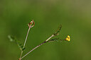 BUITEN BEELD Foto: 438280