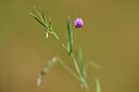 BUITEN BEELD Foto: 438283
