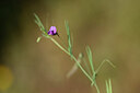 BUITEN BEELD Foto: 438285