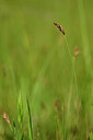 BUITEN BEELD Foto: 438288