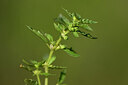 BUITEN BEELD Foto: 438291