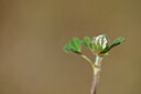 BUITEN BEELD Foto: 438294