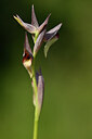 BUITEN BEELD Foto: 438295