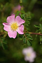 BUITEN BEELD Foto: 438300