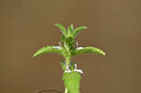 BUITEN BEELD Foto: 438302