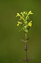 BUITEN BEELD Foto: 438303