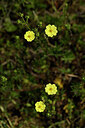 BUITEN BEELD Foto: 438313