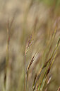 BUITEN BEELD Foto: 438316