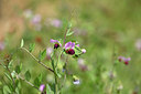 BUITEN BEELD Foto: 438317