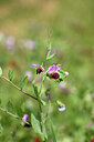 BUITEN BEELD Foto: 438319