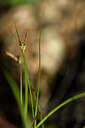 BUITEN BEELD Foto: 438321