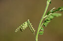 BUITEN BEELD Foto: 438330