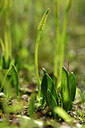 BUITEN BEELD Foto: 438333