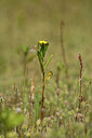 BUITEN BEELD Foto: 438335