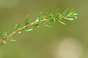 BUITEN BEELD Foto: 438345