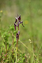 BUITEN BEELD Foto: 438346