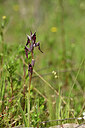 BUITEN BEELD Foto: 438354