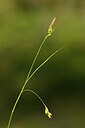 BUITEN BEELD Foto: 438355