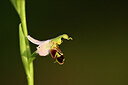 BUITEN BEELD Foto: 438358