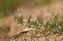 BUITEN BEELD Foto: 438364