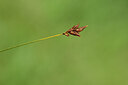 BUITEN BEELD Foto: 438367
