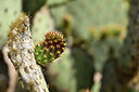 BUITEN BEELD Foto: 438368