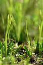 BUITEN BEELD Foto: 438372