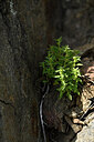 BUITEN BEELD Foto: 438373