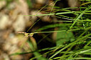 BUITEN BEELD Foto: 438376