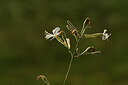 BUITEN BEELD Foto: 438385