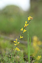 BUITEN BEELD Foto: 438386