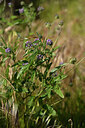 BUITEN BEELD Foto: 438391