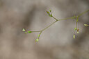 BUITEN BEELD Foto: 438394