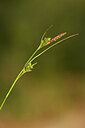 BUITEN BEELD Foto: 438396
