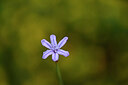 BUITEN BEELD Foto: 438398