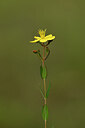 BUITEN BEELD Foto: 438400