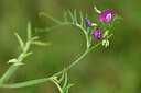 BUITEN BEELD Foto: 438402